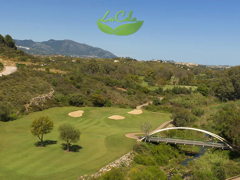 The Golf Experience continues to improve with new renovations and upgrades on the golf course